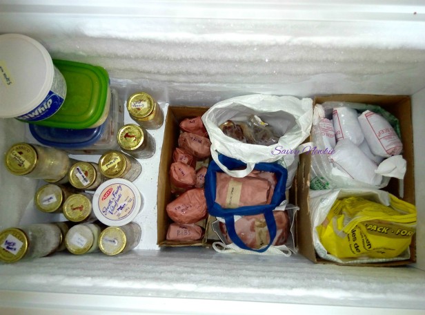organize freezer